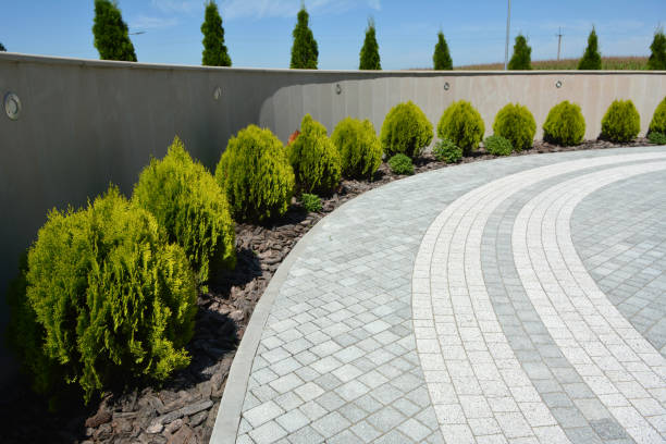 Best Driveway Pavers Cost  in Woodfin, NC